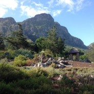 Tales from Capetown #1