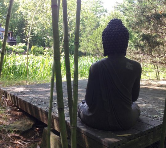 Annual Six-Day Meditation Retreat 2017