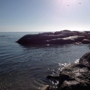 Tales from St. Helena’s Bay #2